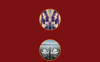 Unduh Mirror Effect Photo (gratis) Android - Download Mirror Effect Photo