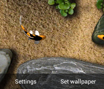 Unduh Koi Free Live Wallpaper (gratis) Android - Download Koi Free Live Wallpaper