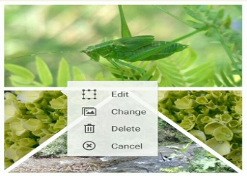 Unduh Photo Collage Editor (gratis) Android - Download Photo Collage Editor