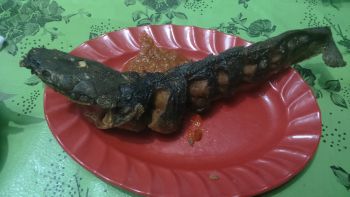 Resep Lele Goreng Praktis Sederhana