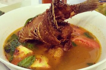 Resep Sup Ikan Gurame Praktis Sederhana