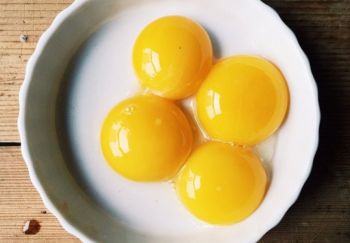 Kuning Telur