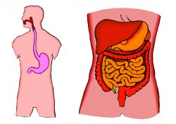 Penyakit Crohn