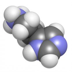 (c) molekuul.be Fotolia.com