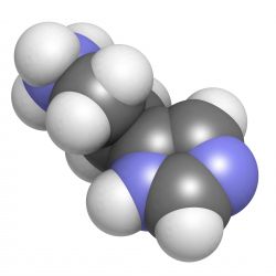 Histamin