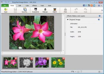 Unduh Photopad Image Editor (gratis) / Download Photopad Image Editor