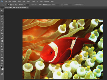 Unduh Photoshop (gratis) / Download Photoshop